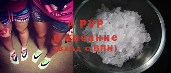 ешки Дмитриев