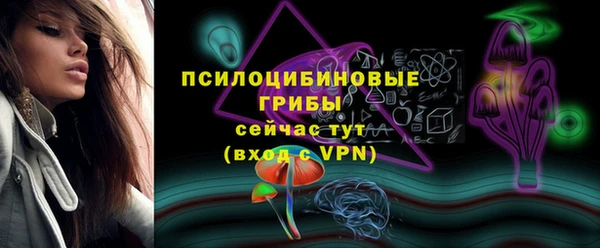ешки Дмитриев