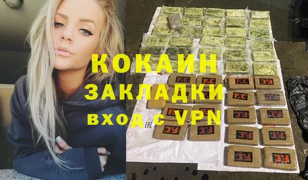 ешки Дмитриев