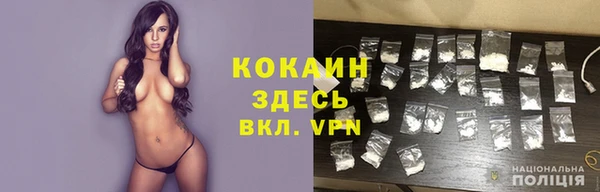 ешки Дмитриев
