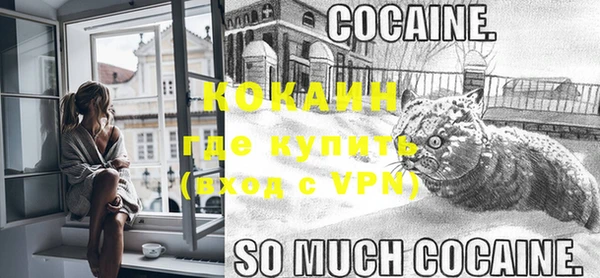 ешки Дмитриев