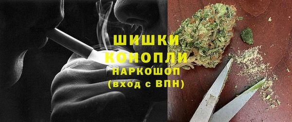 ешки Дмитриев