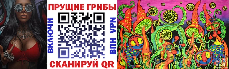 Галлюциногенные грибы мухоморы  Ефремов 